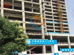 轨道式蜜桃在线免费观看